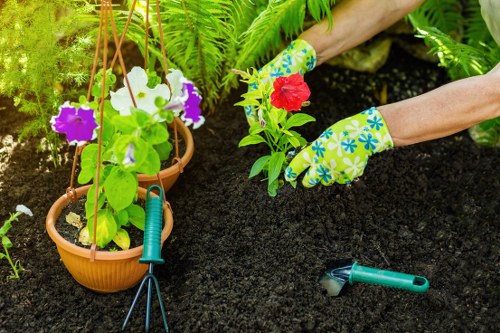 Front view of a Sydenham garden with gardener tools on a lawn