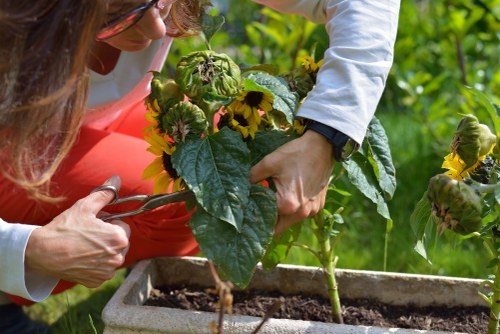 Community gardening event organized by Gardeners Sydenham